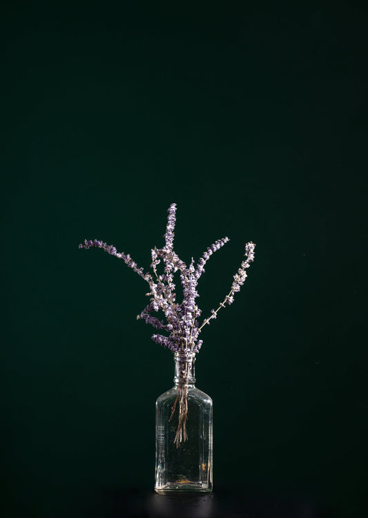 Clear glass cologne bottle